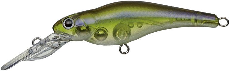 Evergreen Spin Move Shad