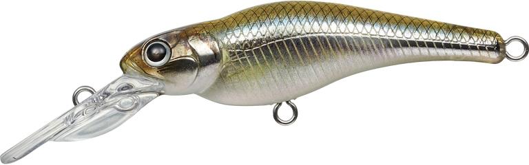 Evergreen Spin Move Shad