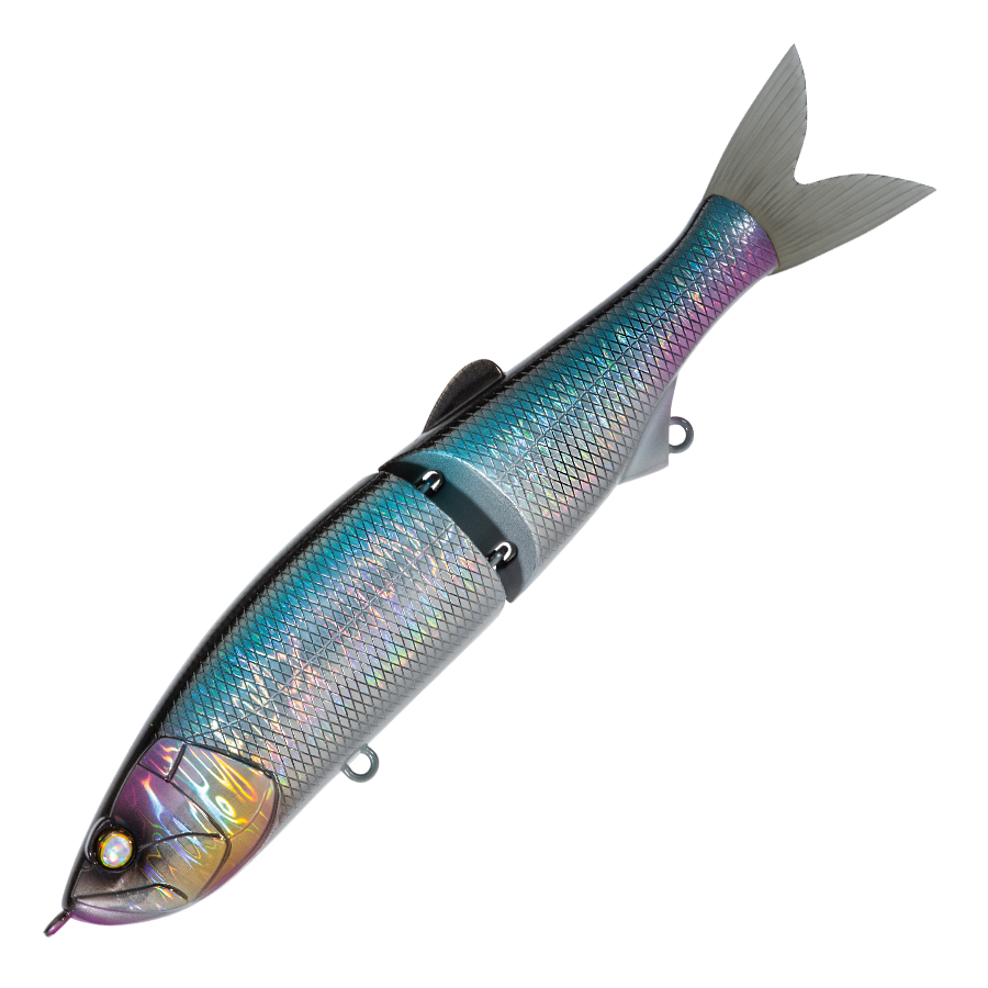 Whiplash Swayward 16 FLS