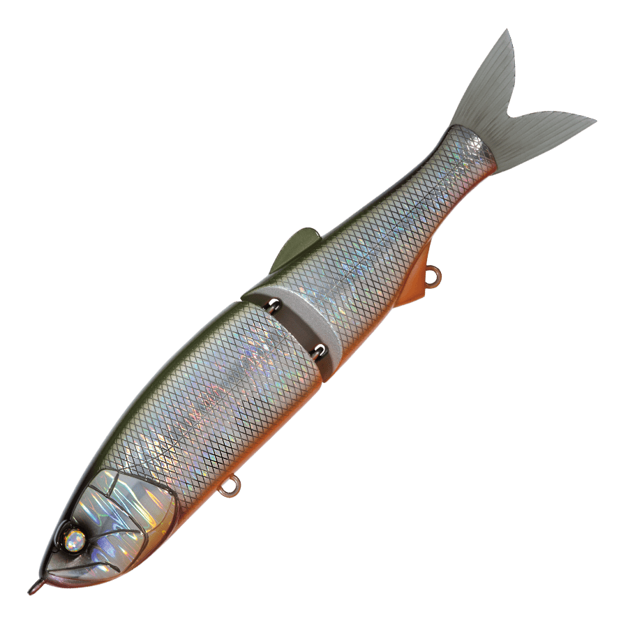 Whiplash Swayward 16 FLS