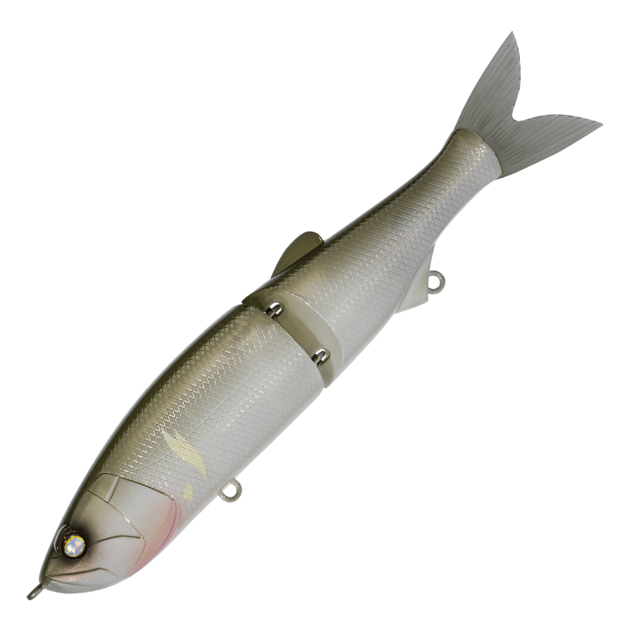 Whiplash Swayward 16 FLS