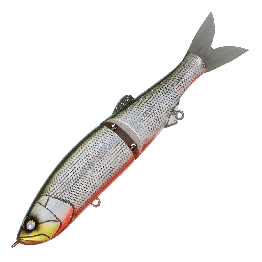 Whiplash Swayward 16 FLS