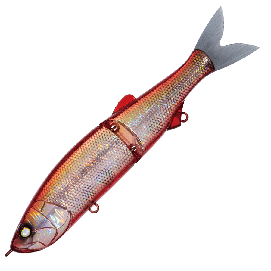 Whiplash Swayward 16 FLS