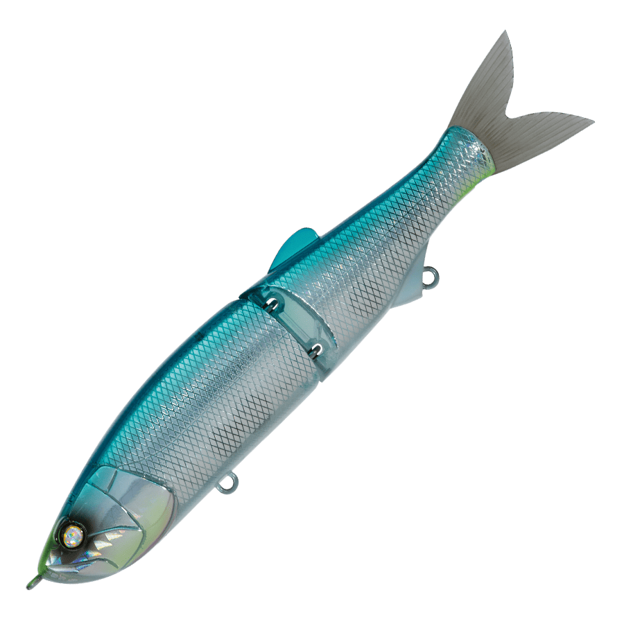 Whiplash Swayward 16 FLS