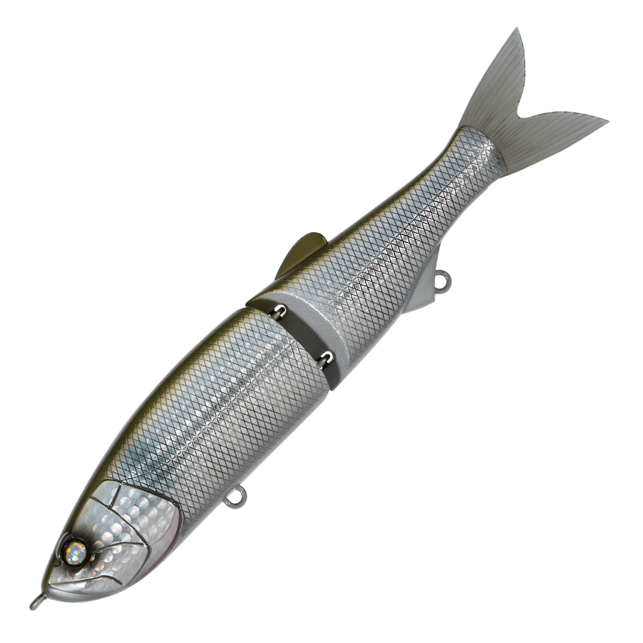 Whiplash Swayward 16 FLS