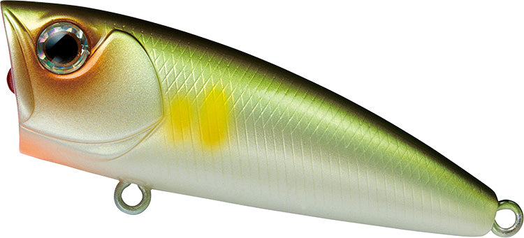 Steez Popper 50F