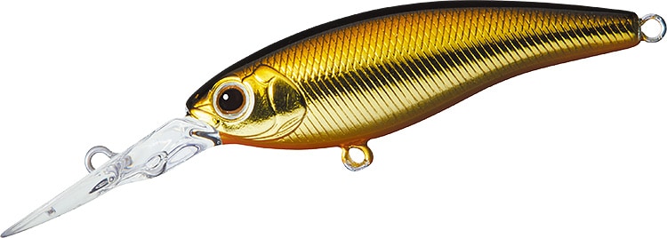 Steez Shad 54F MR