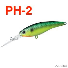 Steez Shad 54F MR