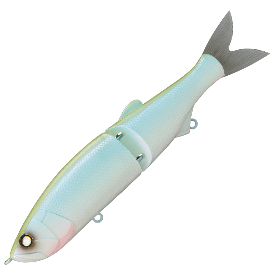 Whiplash Swayward 16 FLS