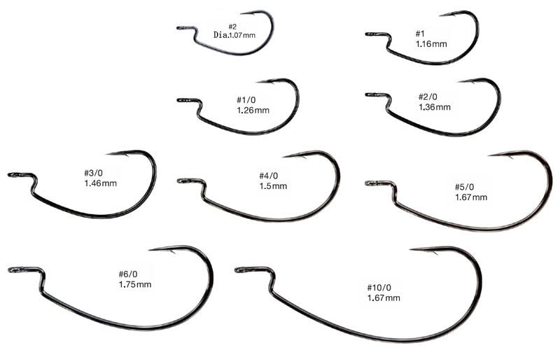 Cours de maître-hameçonnage Nogales