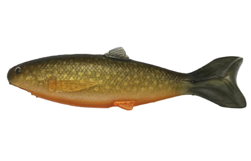 YG.Labo Dorvus 180