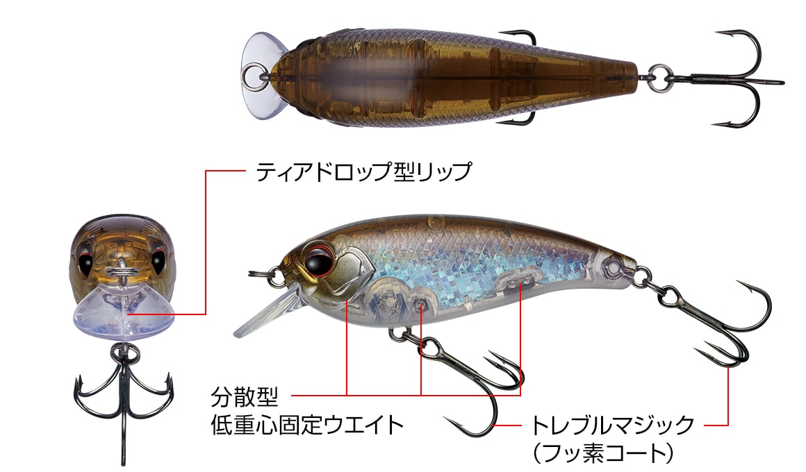 Belcanto à feuilles persistantes