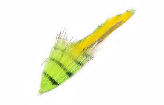 BimTackle ChaCha Bait Trailer Jr.