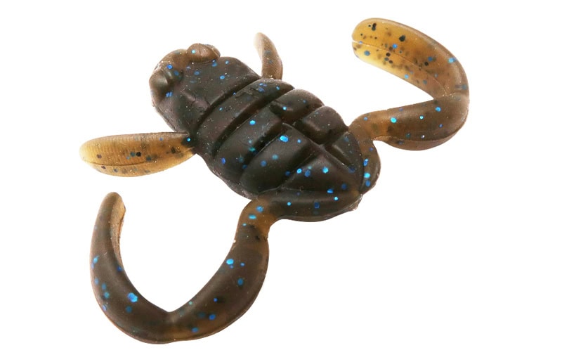 Bébé grenouille BottomUp Scooper