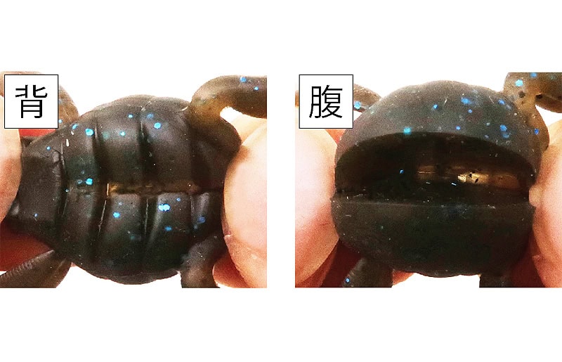 Bébé grenouille BottomUp Scooper