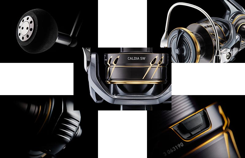 Daiwa '22 Caldia SW