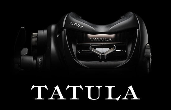 Daiwa '24 Tatula TW 100 (right)