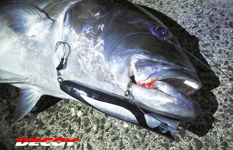 Leurre JS-2 Jigging Single Cutlass