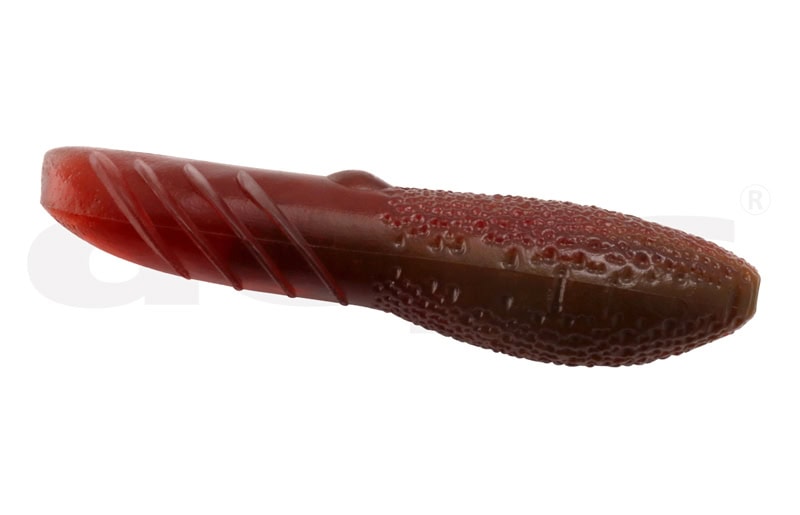 Couverture des dépositaires Scat