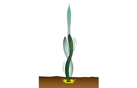 Bâton de rebond Deps 6"