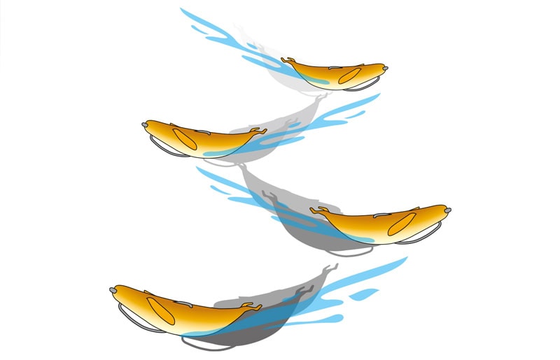 Deps Sakamata Shad 5" Real