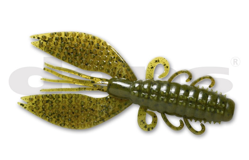 Crabe épineux de Deps