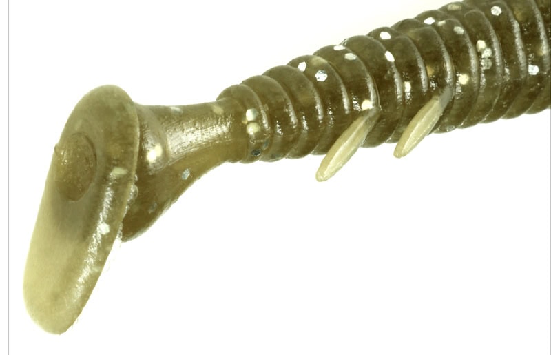 Glissière de queue Deps