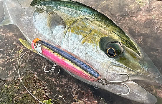 Duel Sonicboom SB Pop 120F