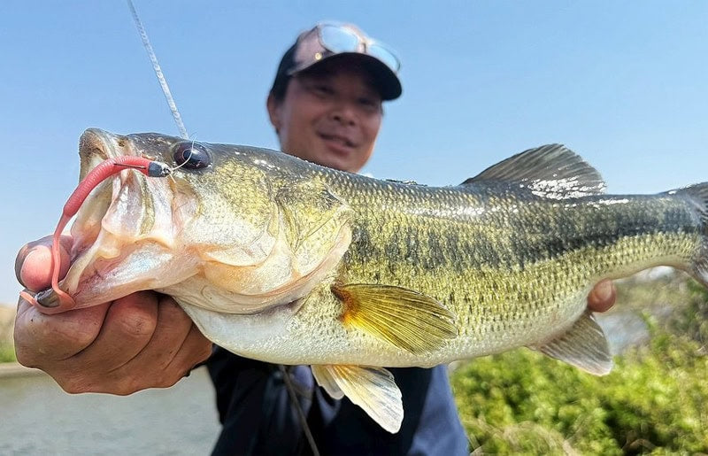 Duo Realis Wriggle Curly 3.8"