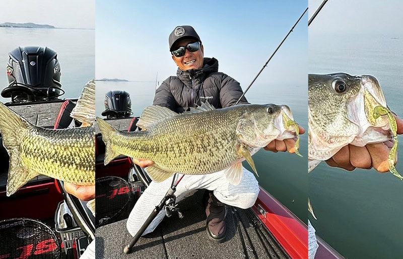 Duo Realis Wriggle Curly 4.8"