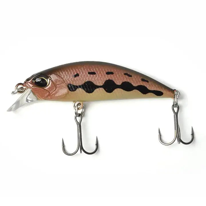 Duo Spearhead Ryuki 50S