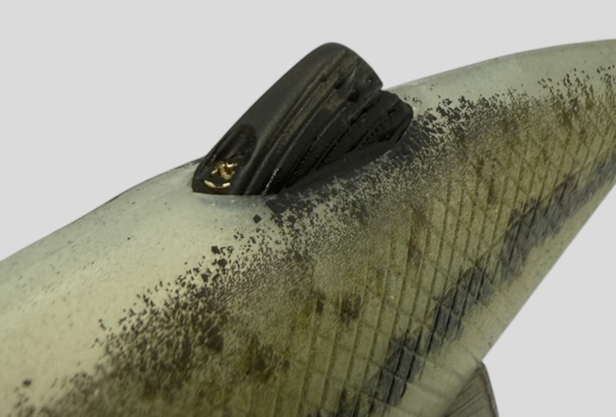 YG.Labo Dorvus 180