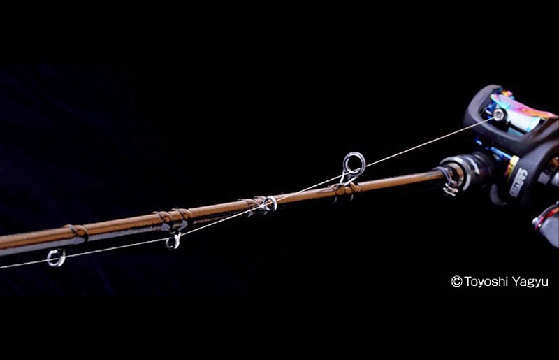 Evergreen Inspirare RS IRSC-66MR-ST Le Vélociraptor