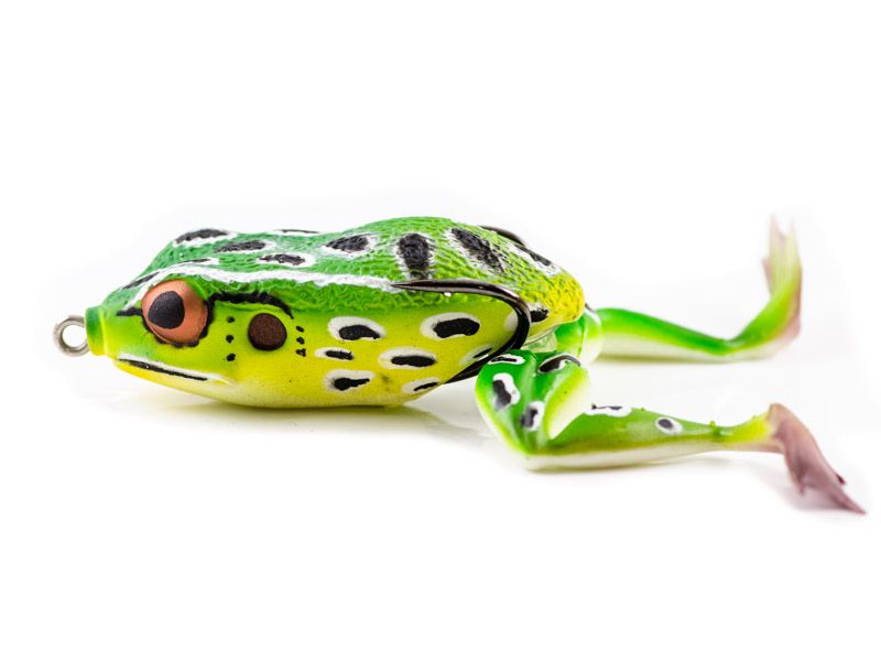 Molix Frog