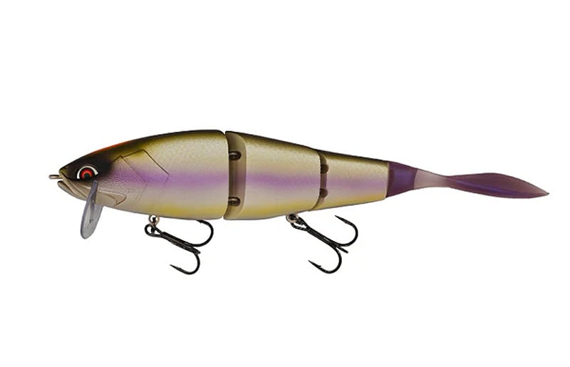 Galapagos Grace 210L