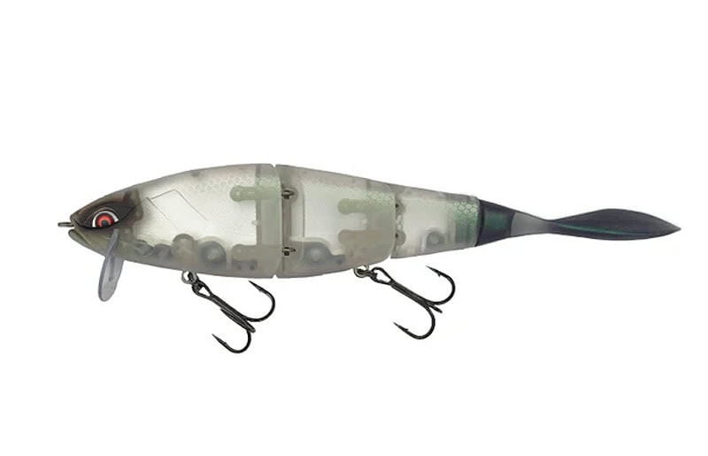 Galapagos Grace 210L