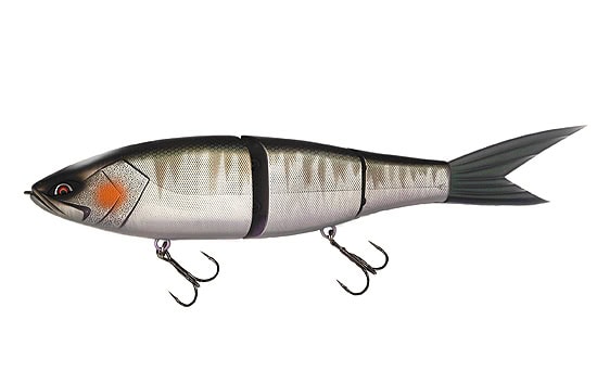 Galapagos Grace 280F