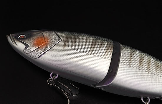 Galapagos Grace 280F