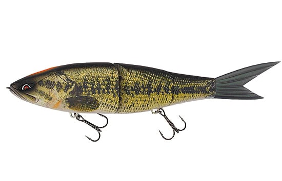 Galapagos Grace 280F