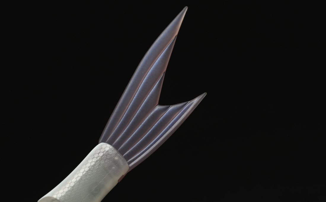 Galapagos Grace 240 Comet Tail