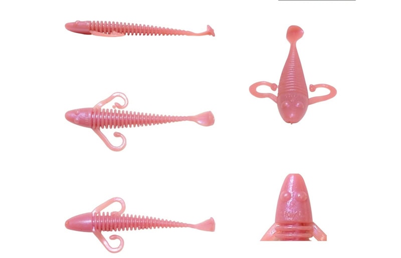 Pack Tournoi HMKL Alive Coby 2,5"