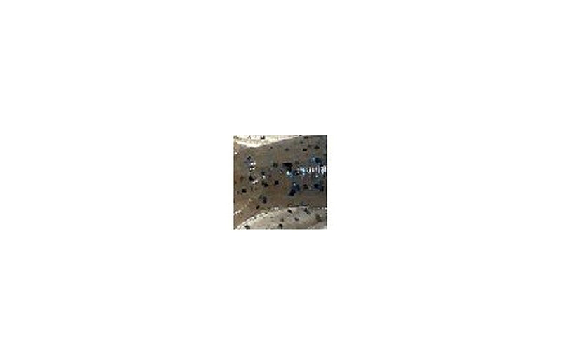 HMKL Alive Fat Coby Non Salt 2.5"