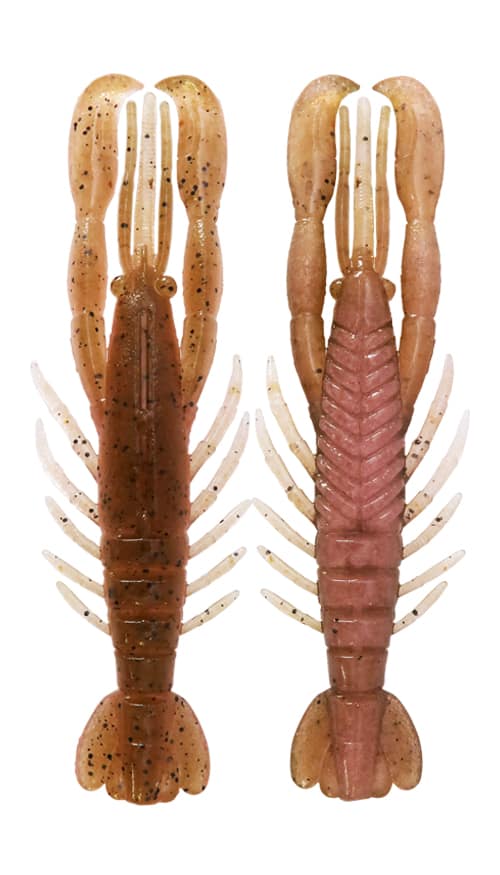 Crevettes BottomUp Hurry 3"