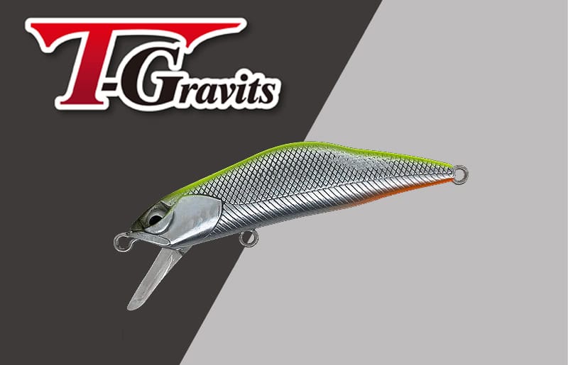Ivyline T-Gravits HS 50S