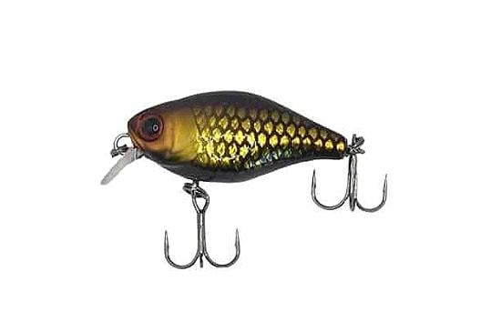 Jackall DD Chubby 38F