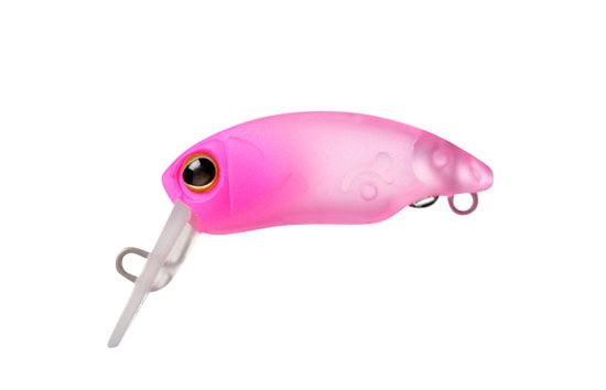 Gants Jackall SR-Dry