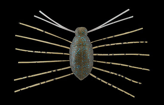 Jackall a besoin d'insectes