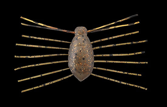 Jackall a besoin d'insectes