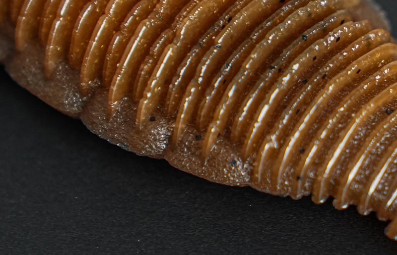 Jackall Shibo Flat 3,6"