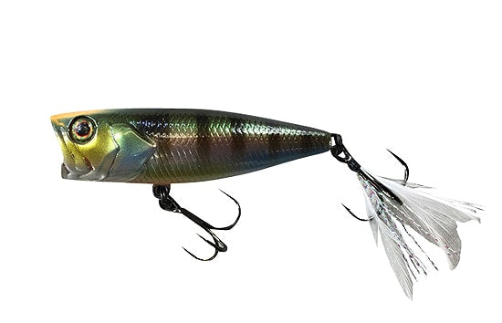 Jackall SK Pop Grande Hiramura Personnalisé